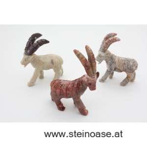 Steinbock Speckstein Gr.S